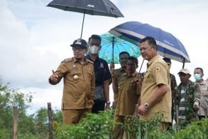 Tinjau Jalan Usaha Tani Dan Irigasi, Ini Kata Bupati Eka Putra.