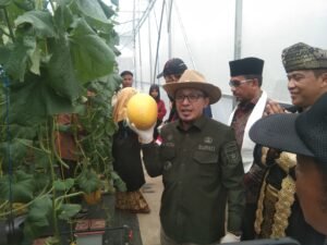 SMK 2 Batusangkar, Kembangkan Melon Sistem Hidroponik Green House