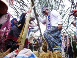 Satu Nagari Satu Even. Nagari Tanjuang Angkat Tema Bapulang Padi.